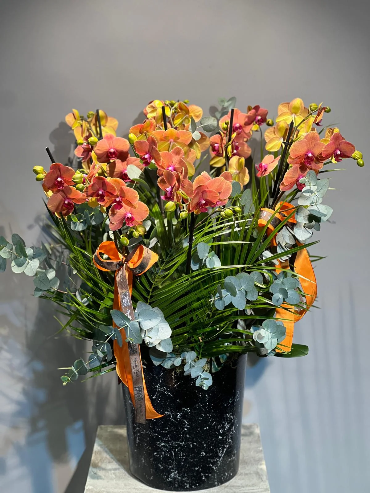 8 Dallı Orange Orkide Set - Görsel 2