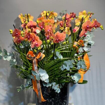 8 Dallı Orange Orkide Set