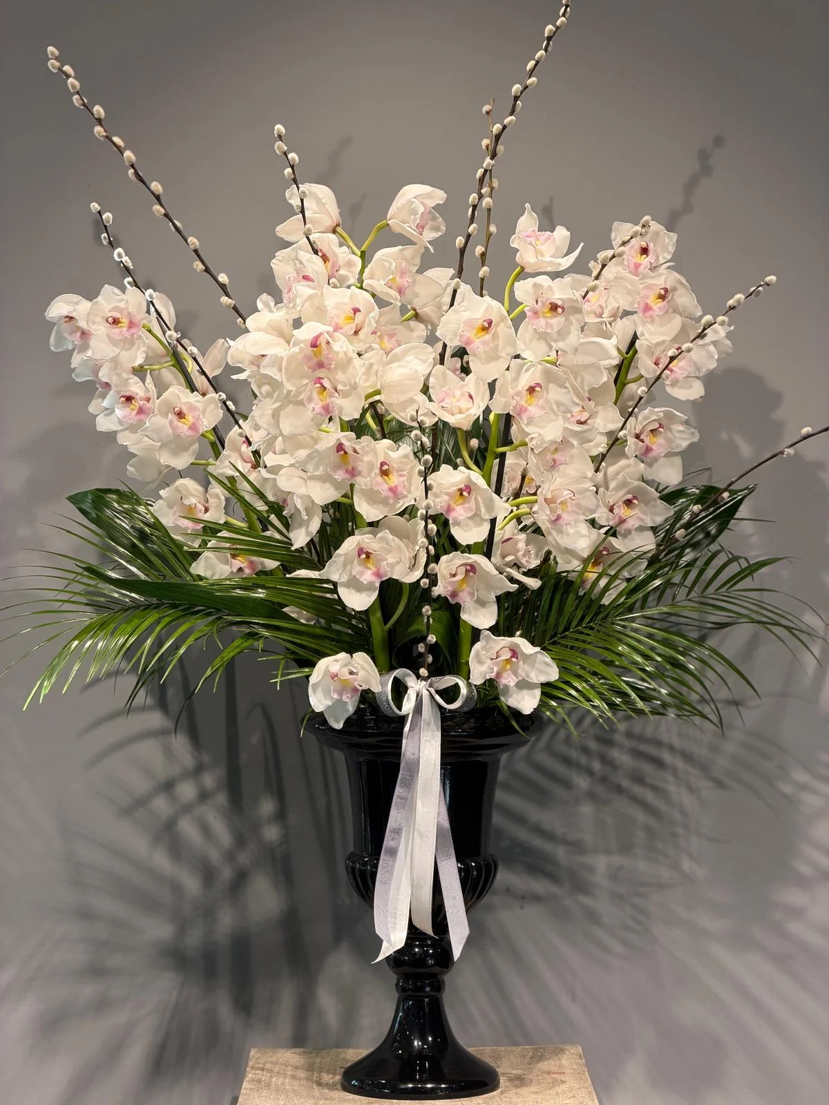 White Cymbidium