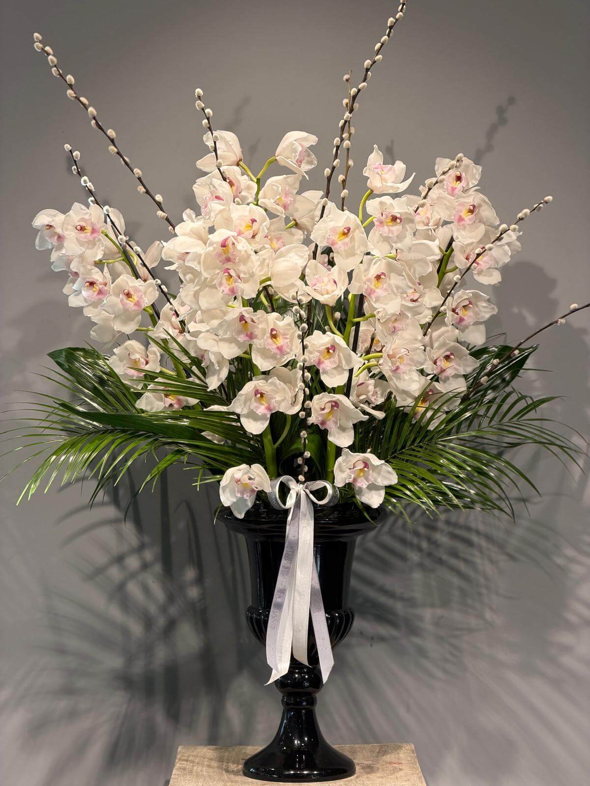 White Cymbidium