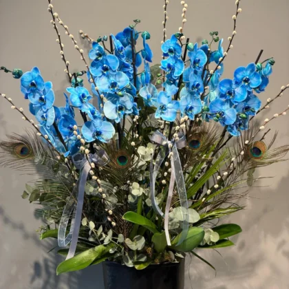 Magıc Blue Orchids