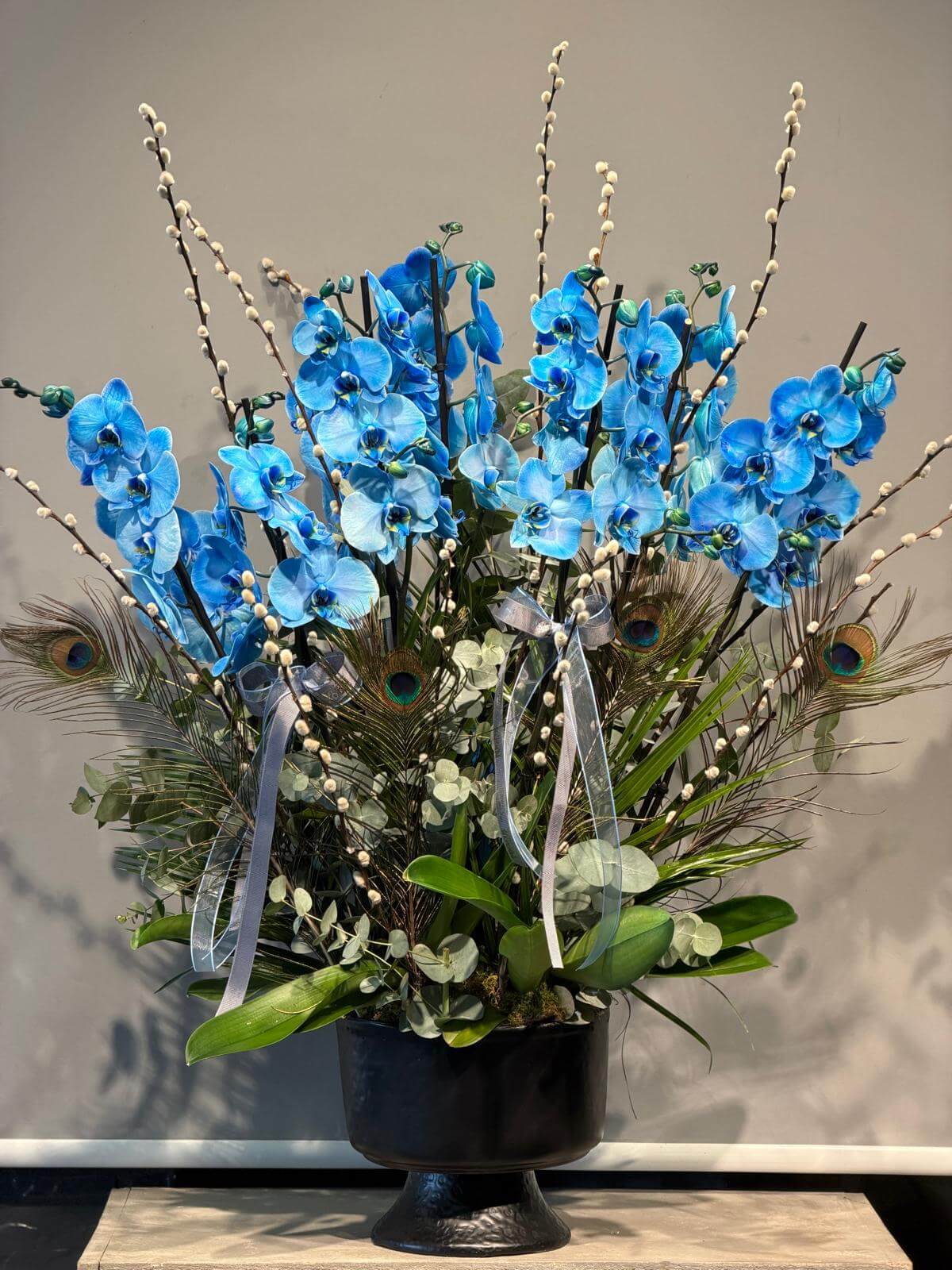 Magıc Blue Orchids